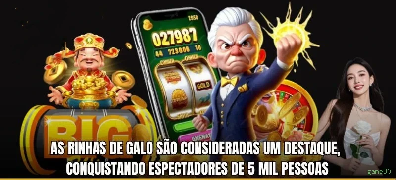 Sistema de Login Seguro game80 - Interface Premium